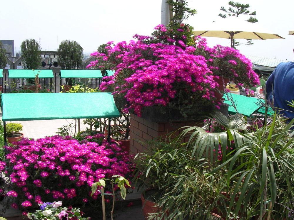 Hotel Excelsior Kathmandu Esterno foto